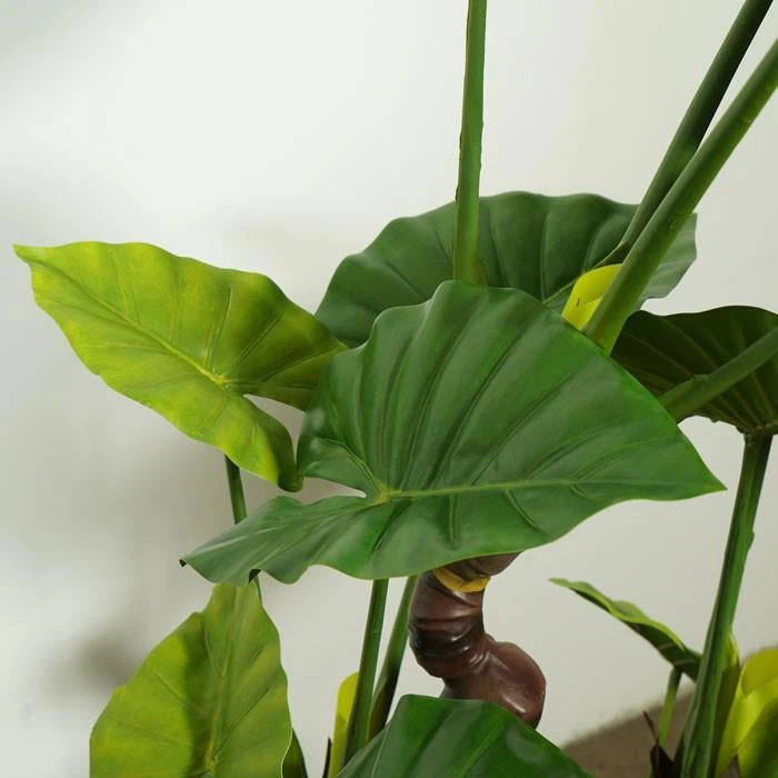 Fake Philodendron