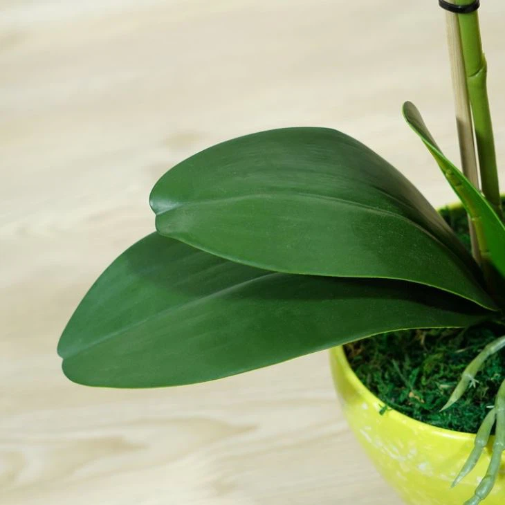 Silk Artificial Orchids Real Touch Red Spot Bonsai Flower